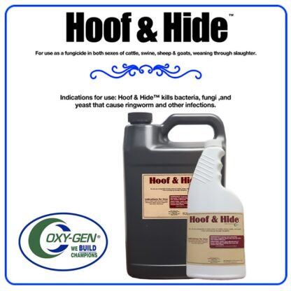 Hoof & Hide Livestock Supplement Kills Bacteria For Use As A Fungicide In Both Sexes Of Cattle, Swine, Lambs, And Goats — From Weaning Up Through Slaughter.
