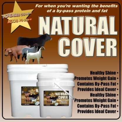Natural Cover Livestock Supplement Provides The Perfect Cover! Bypass Proteins Designed To Be Digested In The Lower Gut, To Add Cover To Your Champion.