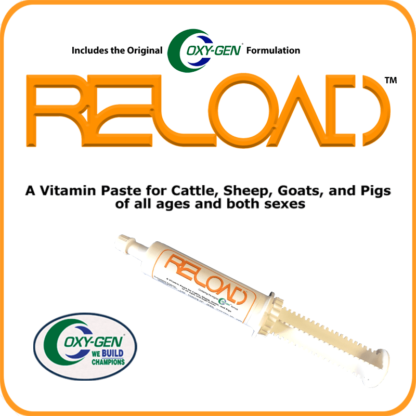 Reload Livestock Supplement Keeps Your Show Animal Looking Fresh All Day Long At The Show. Great To Keep That Clear Eye And Fresh Look Naturally!