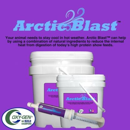 Arctic Blast Livestock Supplement Helps Keep Your Champion COOL! Arctic Blast Can Help By Using Natural Ingredients To Reduce Internal Heat Of Todays Feeds.