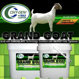 Grand Goat Supplement | Superior Muscling | Weight Gain | Condition
