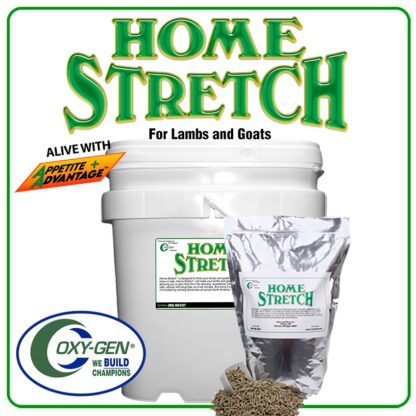 Home Stretch Lamb And Goat Supplement Finish Your Lambs And Goats In The Last Weeks Leading Up To Show Or Sale. Make Your Champion Look Their Best!