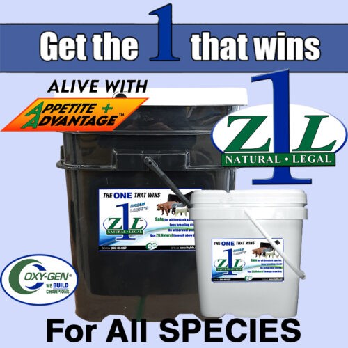Livestock Supplements Cattle, Goats, Poultry and Swine