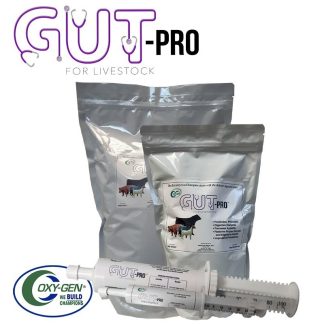Gut-Pro Livestock Supplement Designed To Get Your Champion Back To Eating And Drinking Quickly. With 300 Million CFUs Of Live Bacteria, And Natural Digestive Aids!